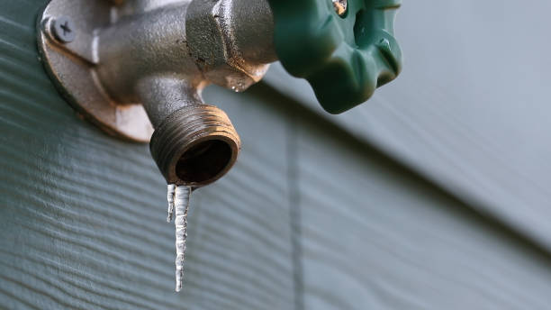 Best Plumbing Services Near Me  in Venice, FL